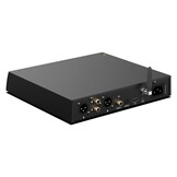 DL300 AK4499EX chip audio DAC