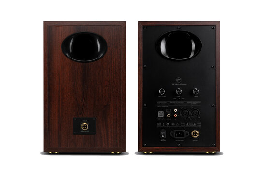 Swan D300 HiFi Stereo Aktive Bluetooth 5.0 Regallautsprecher