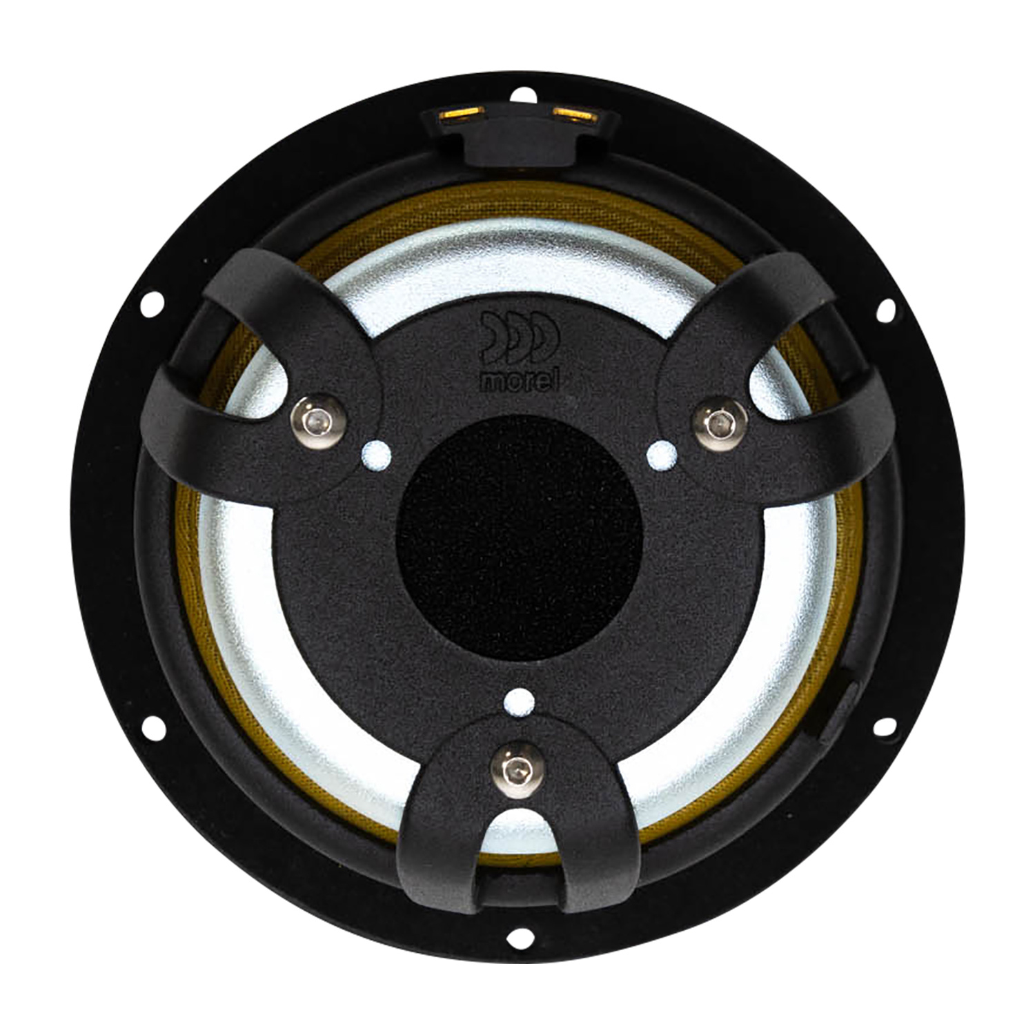 CAW 538 Woofer Medio-Bassi