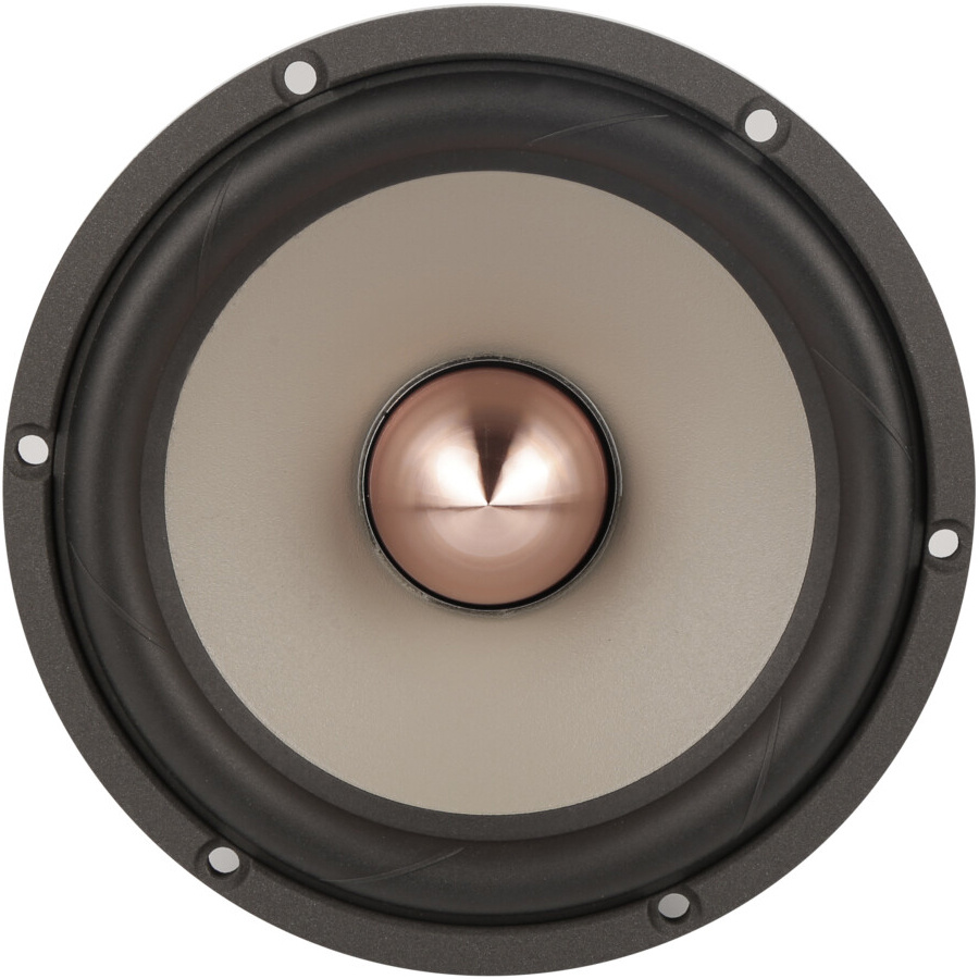 Excel W16NX001-4 - E0049-04 5.5" Magnesium Cone Woofer