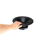 DS315-8 12" Designer Series Woofer Speaker