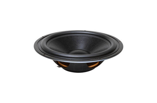 DS270-PR 10" Passive Radiator