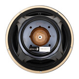 DS270-PR Radiatore Passivo