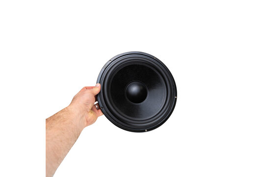 DS270-PR Passive Radiator