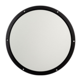 ASP250 Passive Radiator