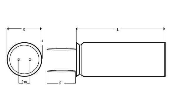 ELCR/68/100 | 68 µF | 10% | 100 V | Electrolytische Kondensatoren