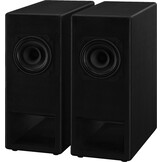 CT-193 DIY speaker kit