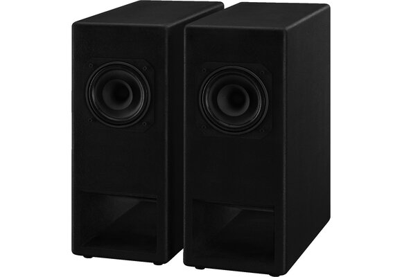 CT-193 DIY speaker kit