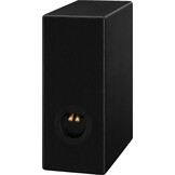 CT-193 DIY Kit Altoparlante