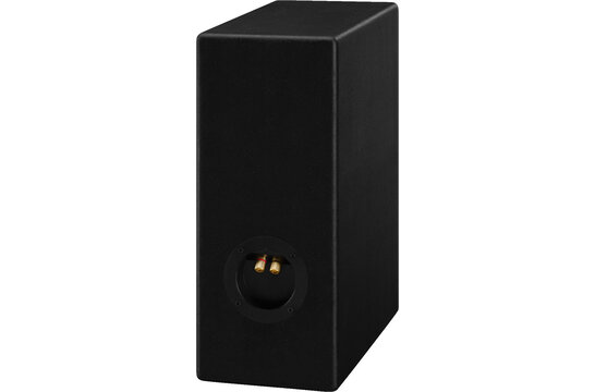 CT-193 DIY Kit Altoparlante