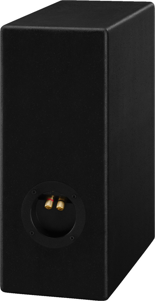 CT-193 DIY speaker kit