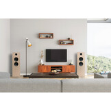 KATANA-M1 DIY open baffle speaker kit