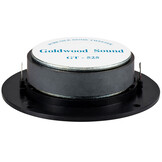 GT-525 Tweeter a Cupola