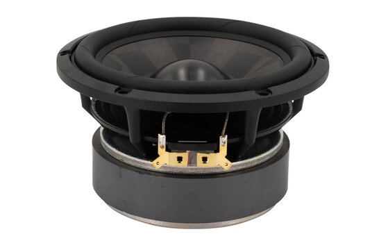 TPCD W16NX005 - E0115-08 Woofer Medio-Bassi