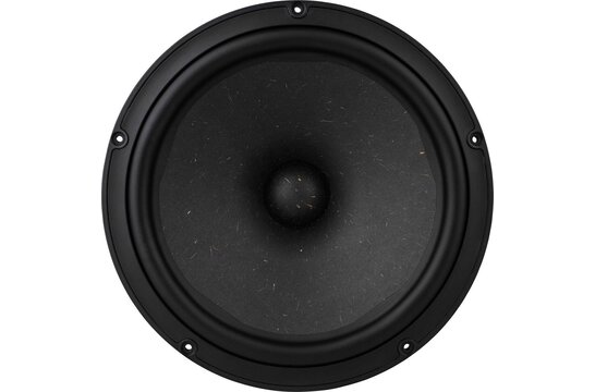 NE315W-08 Subwoofer