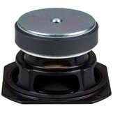 TC9FD00-04 Full-range Woofer