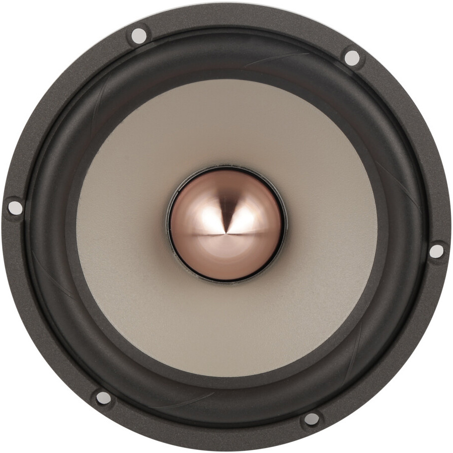 Excel W16NX001-8 - E0049-08 6" Magnesium Cone Woofer