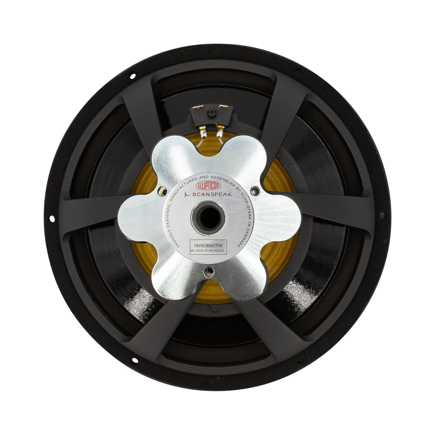 Ellipticor 21WE/8542T00 Woofer a Gamma Media