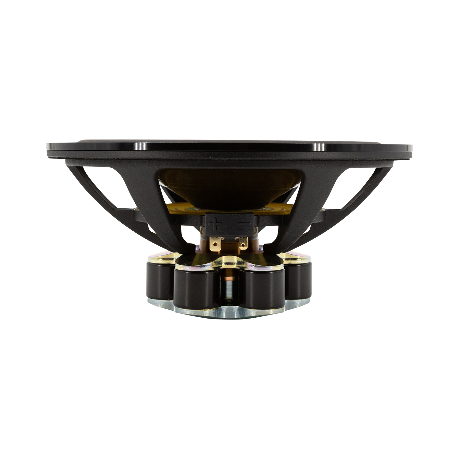 Ellipticor 21WE/8542T00 Mid-range Woofer