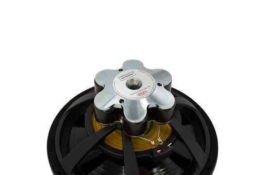 Ellipticor 21WE/8542T00 Woofer a Gamma Media