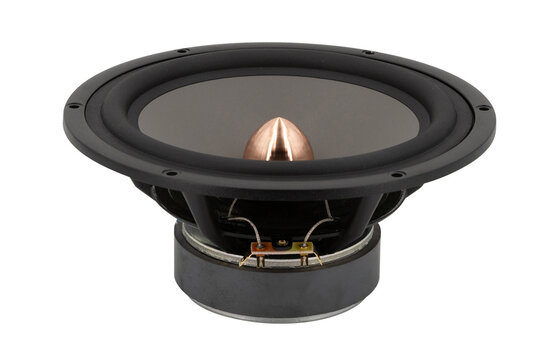 W22NX001 - E0077-08 Woofer