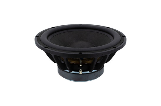 FW322-08 Subwoofer