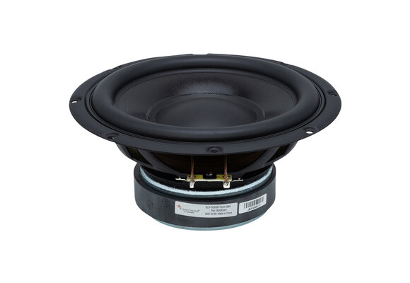SLS-P830667 Subwoofer