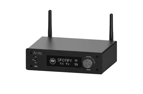 H50 Wireless Stereo HiFi stereo versterker ES9023P Sabre DAC QCC3040 Bluetooth 5.2 aptX HD