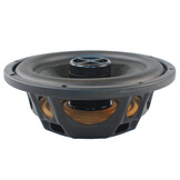 APR10 Passive Radiator