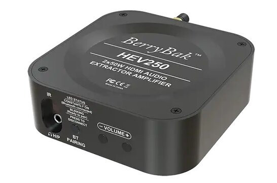 BerryBak HEV250 Stereo Verstärker