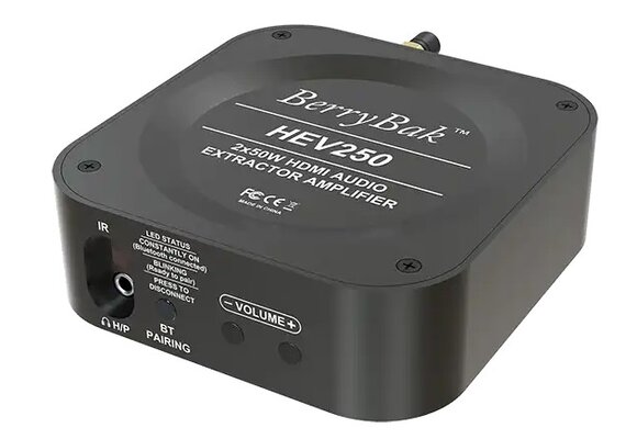 BerryBak HEV250 Stereo-Verstärker