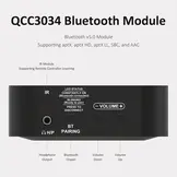 BerryBak HEV250 Stereo Amplifier