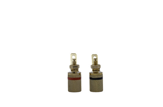 012-0160 Gold Binding Post Pair M4
