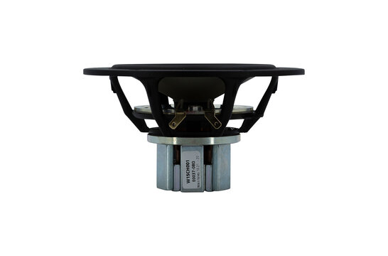 W15CH001 - E0037-08S Woofer