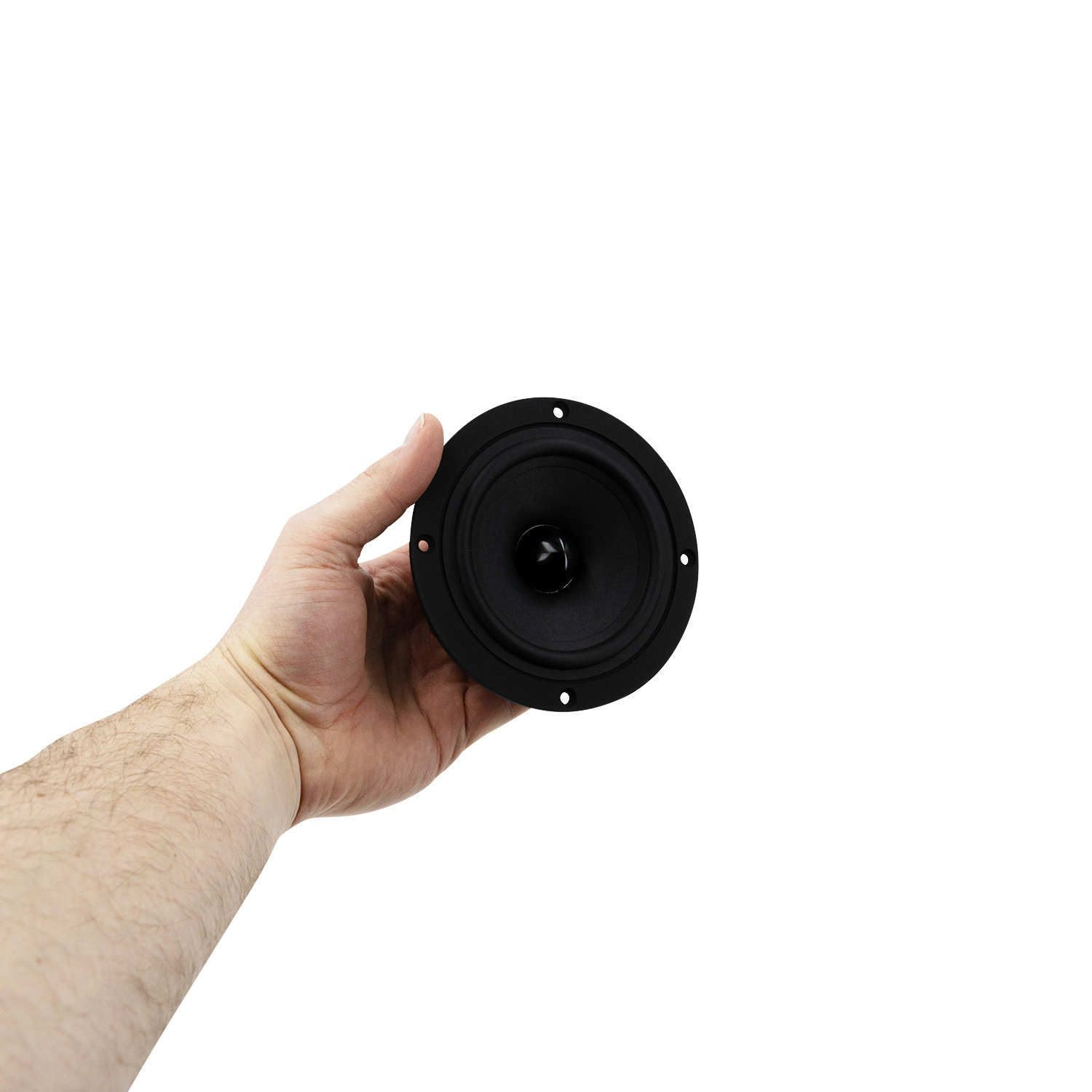 B 100 4" High-End Full-Range Loudspeaker 6 Ohm