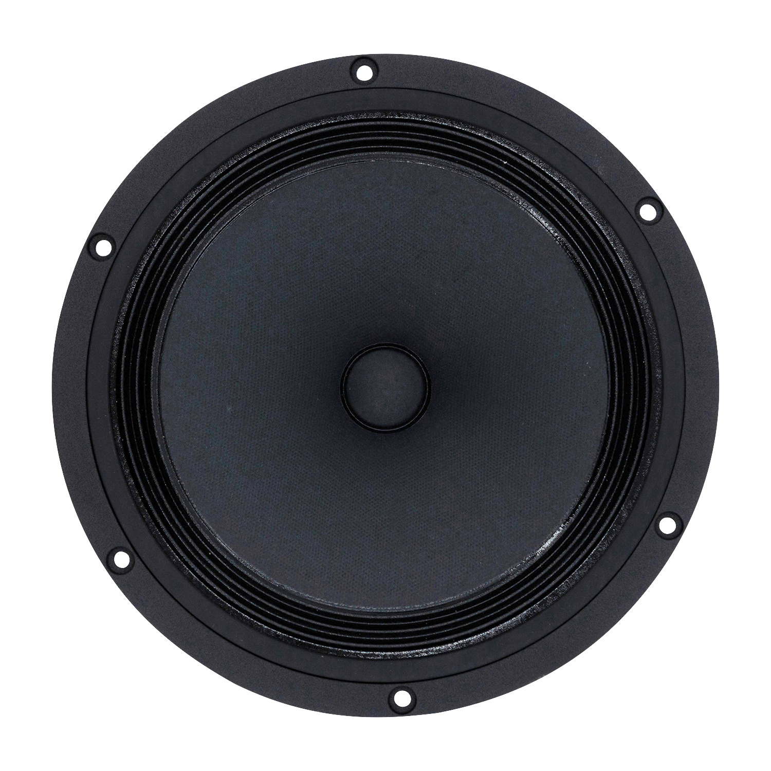 B 200 8" High-End Full-Range Loudspeaker 6 Ohm
