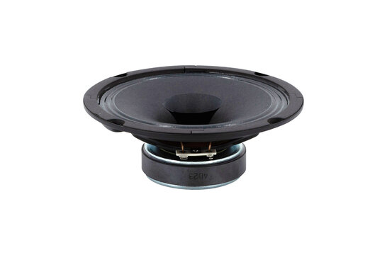 BG 17 Woofer a Gamma Completa