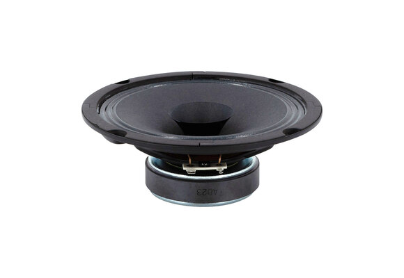 BG 17 Woofer a Gamma Completa