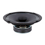 BG 17 Full-range Woofer