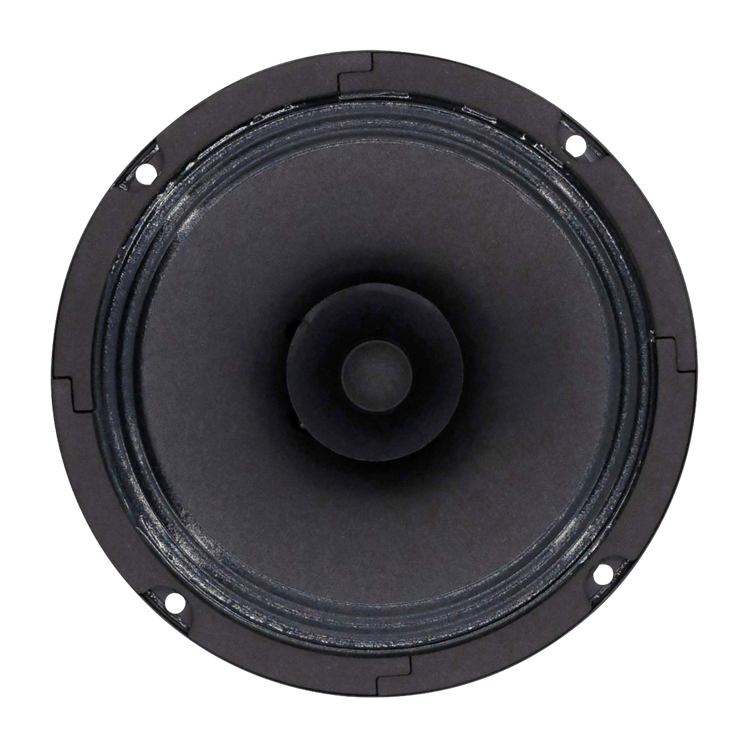 BG 17 Woofer a Gamma Completa