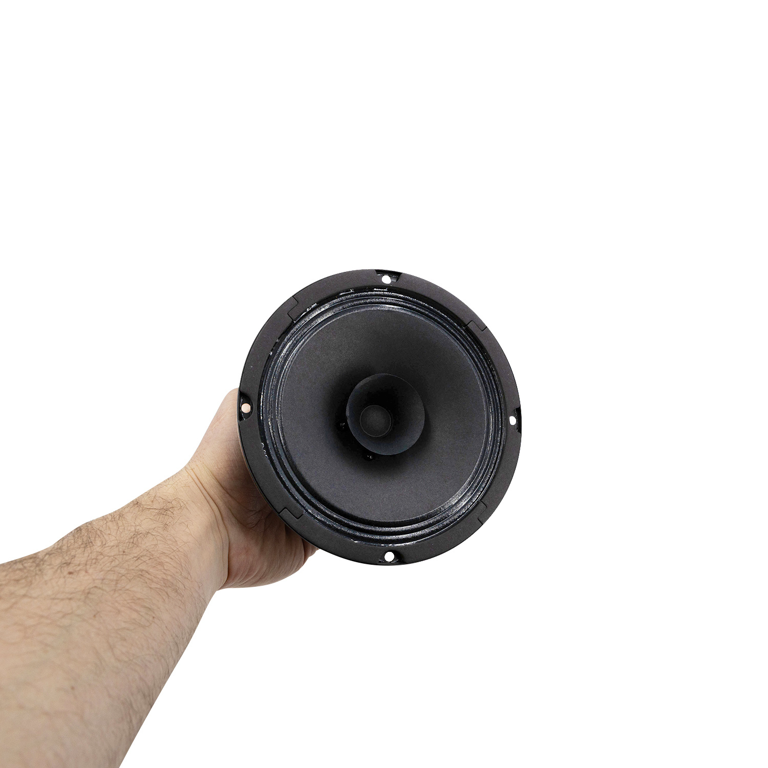 BG 17 6.5" Full-Range Speaker 8 Ohm