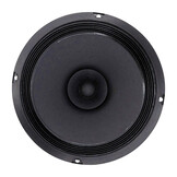 BG 20 Woofer a Gamma Completa
