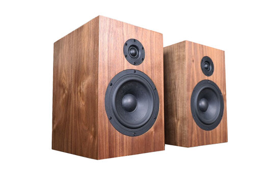 Criton-1TD Bookshelf Kit Altoparlante with LD22