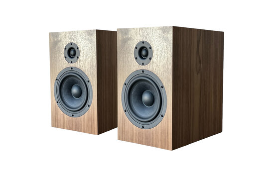 Criton-1TD-X Bookshelf Kit Altoparlante with LD25X