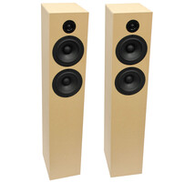 Criton 2TD Tower Speaker Kit