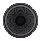 W 250 - 8 10" Woofer 8 Ohm