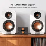 ZA3 Balanced Stereo Amplifier 2CH Mono Amp