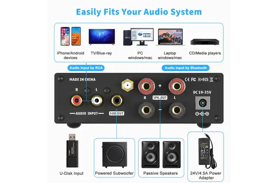 BL20C 2.1 Amplificatore