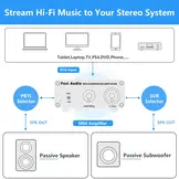 M04 Mono Subwoofer Amplifier
