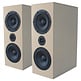Criton 2TD MTM Speaker Kit with LD22